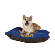 Level-Headed Thinker, Pet Bed - Image 3