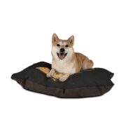 Flat Earth Explorer, Pet Bed - Image 3