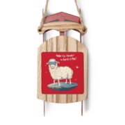 Wake Up, Sheeple! The Earth is Flat! Sled Ornaments